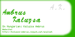 ambrus kaluzsa business card